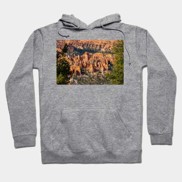 Bryce Canyon View 10 Hoodie by Rob Johnson Photography